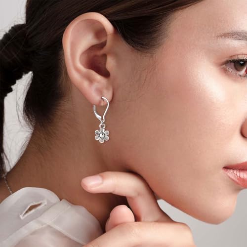 12pcs Leverback Earring Hooks, Hypoallergenic Stainless Steel French Earring Clasps, D-Ring Ear Wire Findings for Jewelry Making- Silver - color: Silver-12pcs