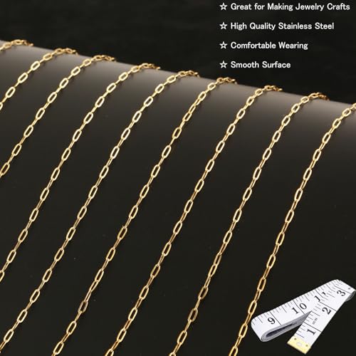 16Ft Stainless Steel Paperclip Chain for Jewelry Making, 2.5mm Width Gold Plated Paper Clip Link Chains Roll for DIY Necklace Bracelet Jewelry Making Supplies with Lobster Clasps Soft Tape Measure - color: Paperclip 2.5mm Gold with Soft Tape Measure