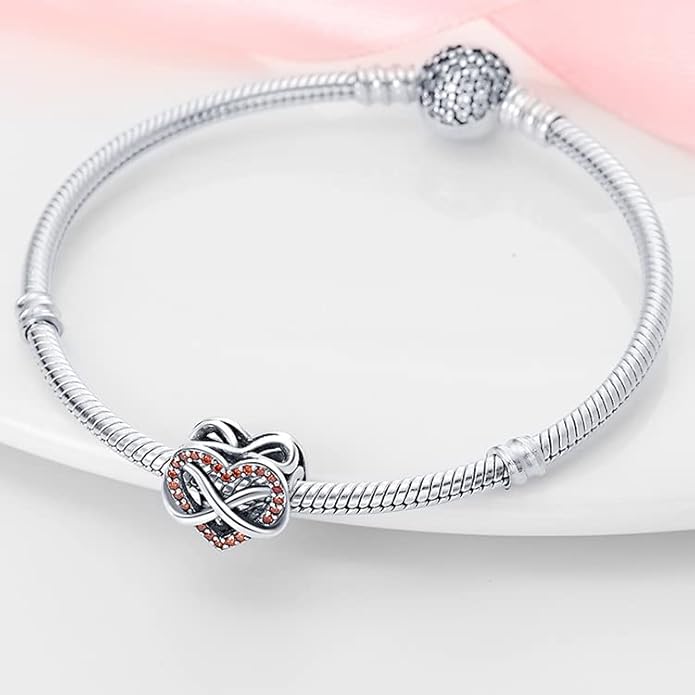 LIGHTDOG 925 Sterling Silver Charm fits Pandora Charm Bracelet Necklaces Pendant Bead Charms Jewelry Gift for Women Family Friends