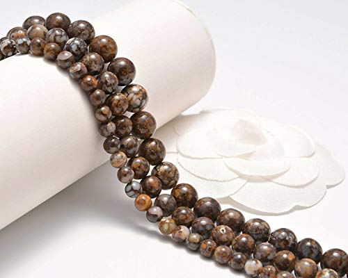 AD Beads Natural Gemstone Smooth Round Loose Beads 15“ 6mm 8mm 10mm (6mm, Snail Fossils) - color: Snail Fossils, size: 6mm