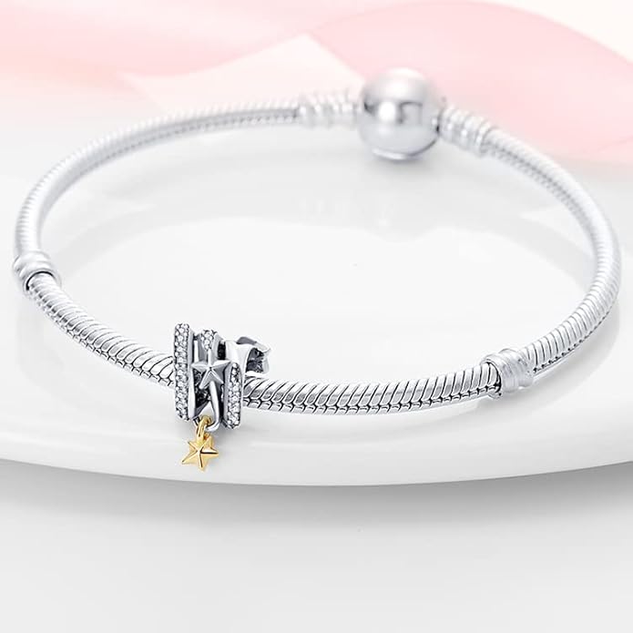 LIGHTDOG 925 Sterling Silver Charm fits Pandora Charm Bracelet Necklaces Pendant Bead Charms Jewelry Gift for Women Family Friends