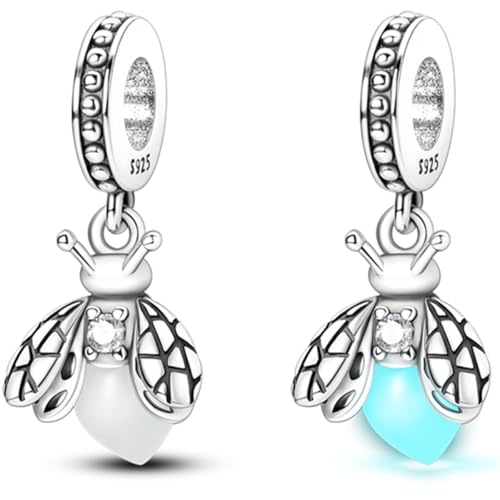 925 sterling silver bracelet necklace pendant, women's jewelry gift, dream catcher net bead pendant, suitable for original bracelets, parties, birthday jewelry gifts - color: KJC053