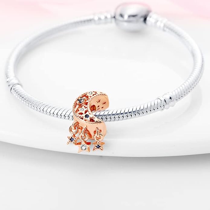 LIGHTDOG 925 Sterling Silver Charm fits Pandora Charm Bracelet Necklaces Pendant Bead Charms Jewelry Gift for Women Family Friends