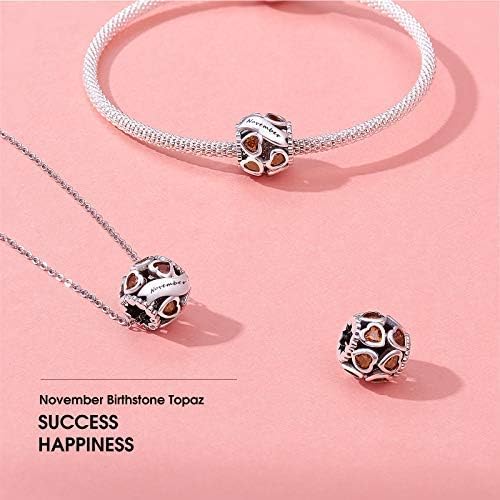 NINGAN Birthstone Charms 925 Sterling Silver Love Heart Openwork Bead for Charm Bracelets and Necklaces with 5A Cubic Zirconia, Birthday Mothers Day Jewelry Gifts Women