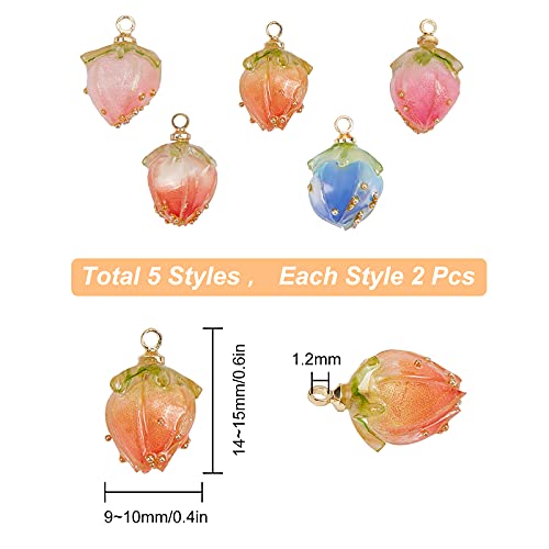 SUNNYCLUE 1 Box 10Pcs 5 Styles Dried Flower Charms Transparent Clear Epoxy Resin Pendants with Brass Hole 1.2mm Glass Micro Beads for DIY Earrings Bracelet Necklace Jewelry Accessories Gift Supplies