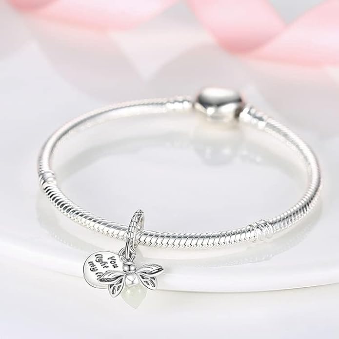 LIGHTDOG 925 Sterling Silver Charm fits Pandora Charm Bracelet Necklaces Pendant Bead Charms Jewelry Gift for Women Family Friends