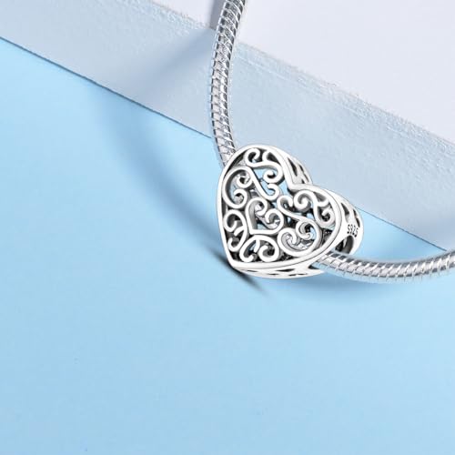 925 sterling silver bracelet necklace pendant, women's jewelry gift, dream catcher net bead pendant, suitable for original bracelets, parties, birthday jewelry gifts - color: KJC527