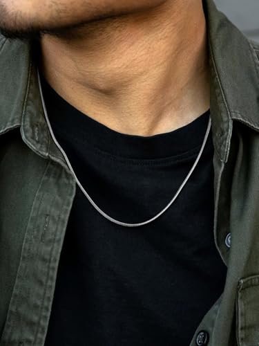 FaithHeart Stainless Steel Chains for Men, Silver/Black/14K Gold Plated Snake/Wheat/Box/Rope/Rolo Chain Necklace 16-30 Inches with Delicate Gift Box - color: 01. Snake Chain-Silver, size: Length 26 Inches