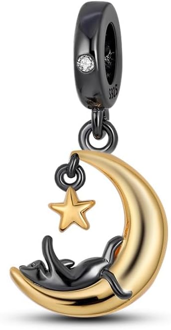 925 sterling silver bracelet necklace pendant, women's jewelry, a charming pendant suitable for matching the original bracelet, perfect for parties, birthdays, and as a jewelry gift
