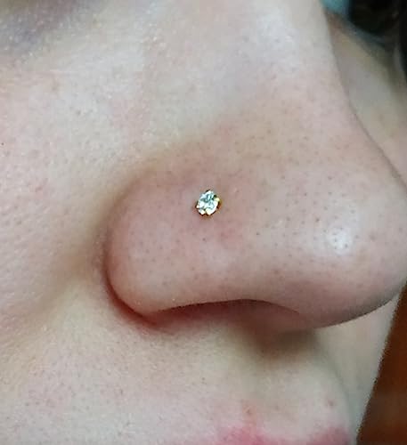 QWALIT Piercing Taper Threadless Insertion Tool - Titanium Labret Pin 16g, 18g, 20g - color: E1 - Gold Straight 20g/18g/16g 6mm(1/4")