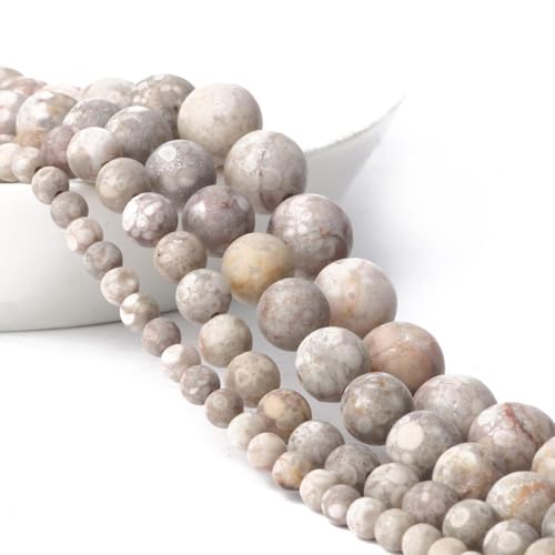 Stone Beads, 60pcs Matte Flowery Cowry Fossil, 6mm Round Loose Beads for Jewelry Making, Bracelets, with Bag, String & Card - color: Matte Flowery Cowry Fossil, size: 6mm