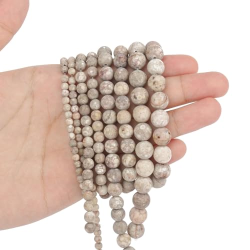 Stone Beads, 60pcs Matte Flowery Cowry Fossil, 6mm Round Loose Beads for Jewelry Making, Bracelets, with Bag, String & Card - color: Matte Flowery Cowry Fossil, size: 6mm