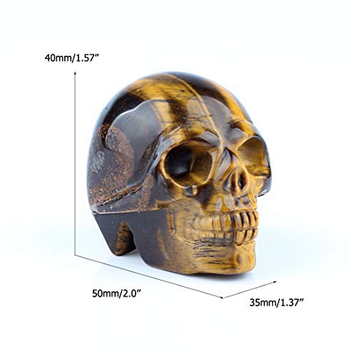 50mm Tiger Eye Natural Stone Carved Skulls Reiki Healing Statue Collectible Figurine (Yellow Tiger Eye) - color: Tiger Eye