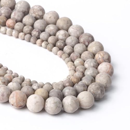 Stone Beads, 60pcs Matte Flowery Cowry Fossil, 6mm Round Loose Beads for Jewelry Making, Bracelets, with Bag, String & Card - color: Matte Flowery Cowry Fossil, size: 6mm