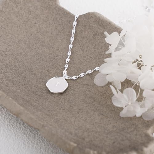 Mothers Day Gifts for Mom Cross Necklace for Women Dainty 14K Gold Plated Cross Coin Necklace Simple Round Disc Pendant Minimalist Cute Charm Everyday Religious Jewelry Gifts - style: sequin chain silver
