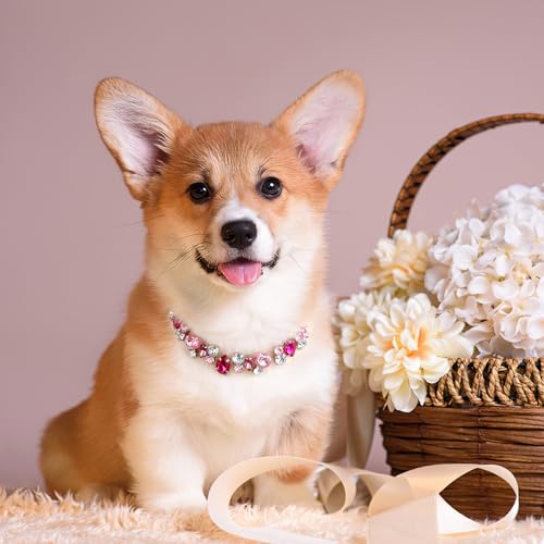 HOWWFALY Dog Collar and Cat Collar Gold Chain Necklace Stainless Steel Adjustable Pink Diamonds Collar with Cute Pet Paw for Small Medium Pets Cats Dogs Kitten Puppy(Pink, L) - color: Pink, size: Large