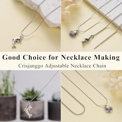 Crisjanggo 10 Pack Silver Necklace Chain for Jewelry Making Stainless Steel Thin Link Chains Bulk Adjustable with Needle Threader Lobster Clasps - color: Silver