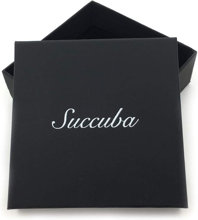 Succuba Padlock Choker Collar Necklace with Lock and Key Heart Lock Choker for Women and Men (C, 18)