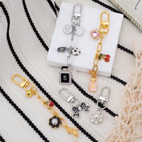 Hzopcw 30pcs Gold & Silver Keychain Making Kit, Key Ring Swivel Snap Hook Chains, Extender Keychain Bag Charm Kits for DIY Crafts Jewelry Making Handbag Purses- A Style - color: Gold & Silver-30pcs-A Style