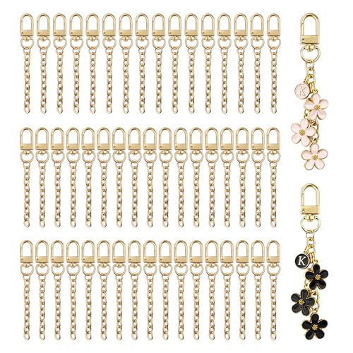 NCIWAN 50 PCS Keychain Making Kit Swivel Snap Hook Lobster Claw Clasps and Extender Chain Gold Metal Keychain Clips with Key Ring Bulk for DIY Craft Supplies Jewelry Key Chain Bags Accessories Gift - color: Gold 50