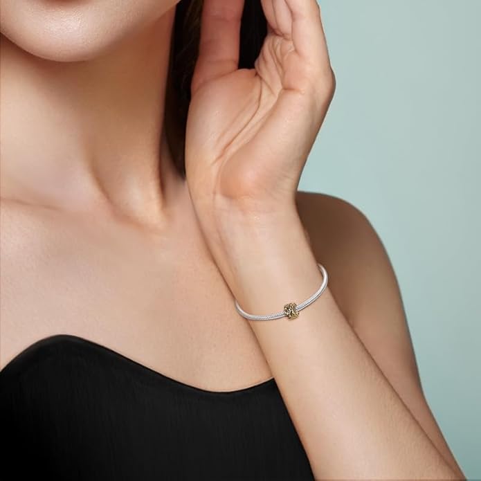 925 sterling silver bracelet necklace pendant, women's jewelry, a charming pendant suitable for matching the original bracelet, perfect for parties, birthdays, and as a jewelry gift