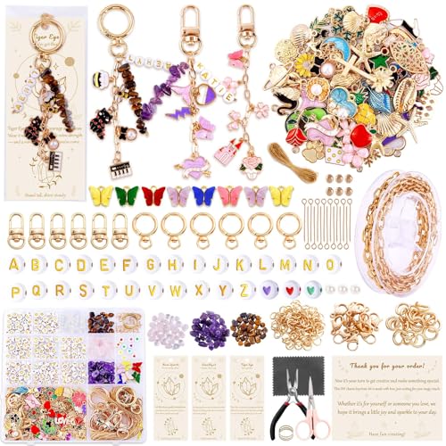 TOHONGADON 674 Pcs Lip Gloss Charms, Keychain Making Kit, Bag Charm Kit with 3 Kinds of Crystal Stones, 322 Charms, 12 Keychain Clips, Key Ring Jewelry Plier, Extender Chain for DIY Crafting - color: 674 Pcs Keychain