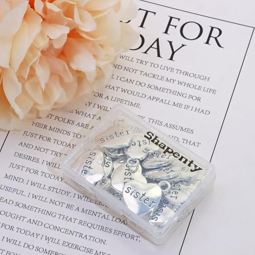 Shapenty Antique Silver Love Heart Shaped Family Members Pendant Charms for DIY Craft Keychains Bracelet Necklace Earrings Jewelry Making Findings and Memory Ornament - style: Sister
