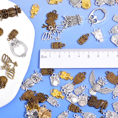 stino 100g Metal Pendant Charms for Jewelry Making, Bulk Silver & Gold Plated Charms for Braclet Necklace Crafts, Animal Plant Flower Pet and so on - color: Owl Silver & Bronze
