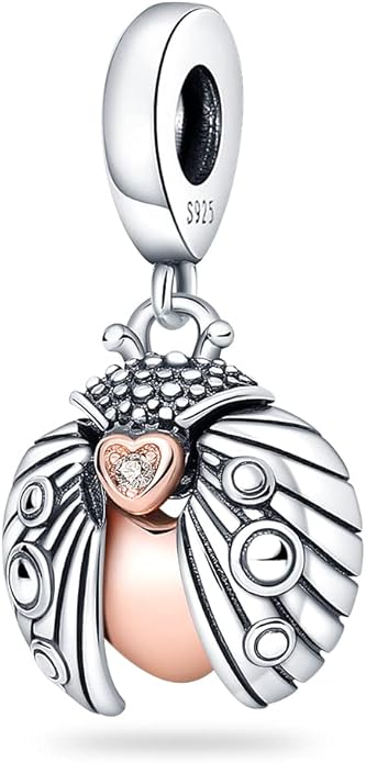 LIGHTDOG 925 Sterling Silver Charm fits Pandora Charm Bracelet Necklaces Pendant Bead Charms Jewelry Gift for Women Family Friends