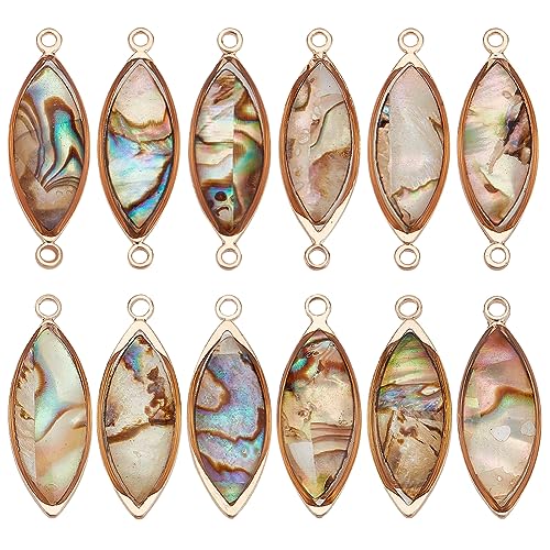 BENECREAT Abalone Shell Charms, Paua Shell Pendant Shell Charms for Jewelry Making - color: Horse Eye