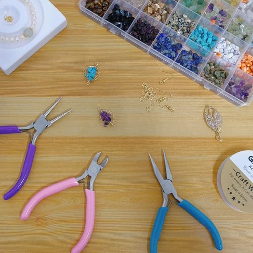 Giwaelro Jewelry Repair Kit for Adults, Jewelry Making Supplies with Pliers, Wires, Findings, Necklace Chains, Magnifier and Storage Bag