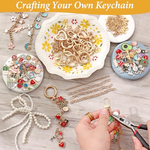 ASTNIC 316PCS Keyring Making Kit & Bag Charm Kit with Charms, Key Ring Hoop, Pliers, DIY Jewellery Making Supplies for Bracelet, Necklace and Jewelry Making, Gifts for Girls, Women, Adults - color: Gold-316PCS