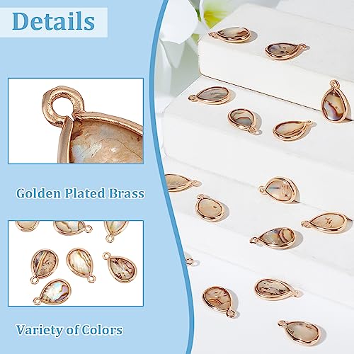 BENECREAT Abalone Shell Charms, Paua Shell Pendant Shell Charms for Jewelry Making - color: colorful