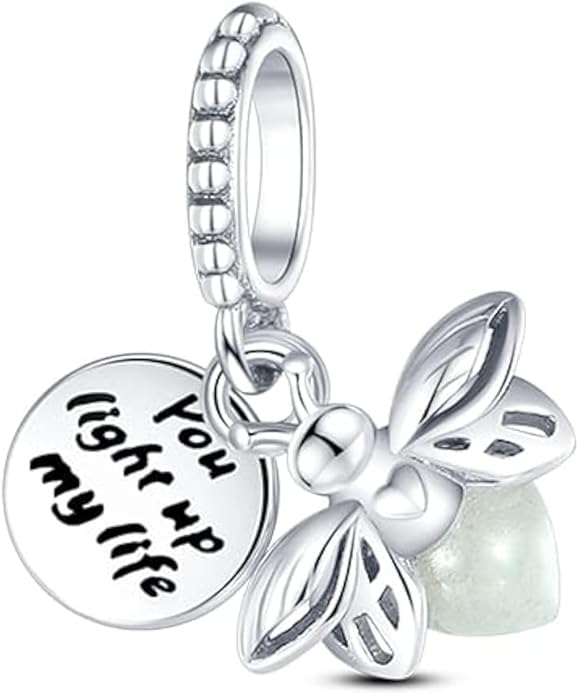LIGHTDOG 925 Sterling Silver Charm fits Pandora Charm Bracelet Necklaces Pendant Bead Charms Jewelry Gift for Women Family Friends