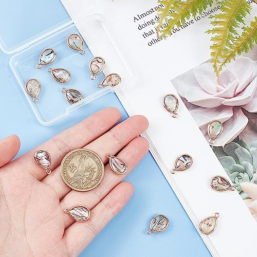 BENECREAT Abalone Shell Charms, Paua Shell Pendant Shell Charms for Jewelry Making - color: colorful