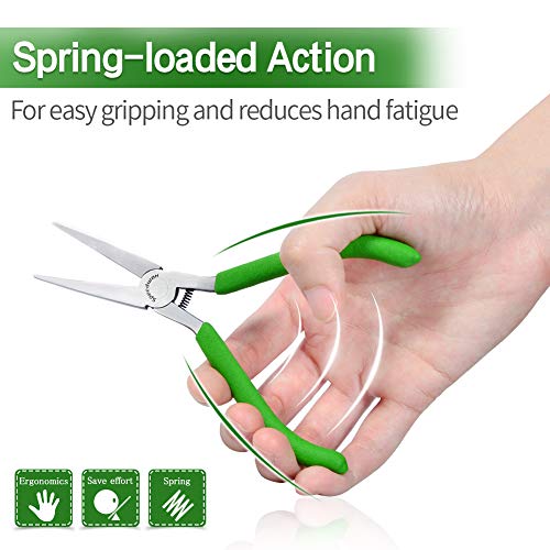 SPEEDWOX Mini Flat Nose Pliers Thin 5 Inches Small Duck Bill Pliers Fine Needle Nose Pliers Micro Chain Nose Pliers Precision Jewelry Making Hand Tools Professional Beading Hobby Work Craft - style: Flat Nose Pliers