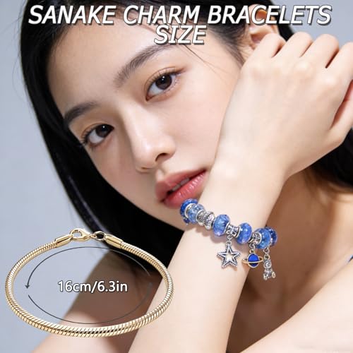 Exway 10 Pcs Snake Charm Bracelet Chain 6.5 Inch Gold Charm Bracelet Kit Snake Chain Bracelets Chain for Christmas DIY Women Jewelry Making Gifts - color: gold style A, size: 6.5in