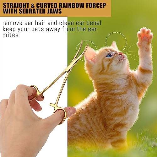 BBTO Hemostat Curved and Straight Hemostat Forceps Piercing Pliers Forceps, Stainless Steel Straight and Curved Pliers, Fishing Tweezer(Gold,2 Pcs) - color: Gold