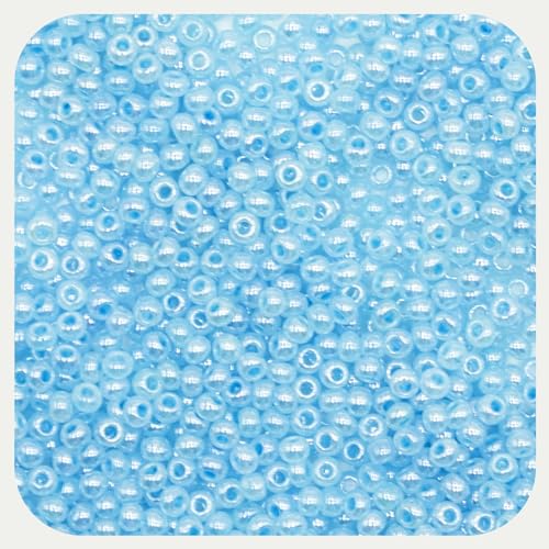 12/0 Tiny Glass Seed Beads Bulk, 2mm 4400 Pcs Craft Pony Beads for Jewelry Making, Friendship Bracelet, Hair Braiding, DIY Necklace Key Chain (Lake Blue) - color: Lake Blue, size: 2mm