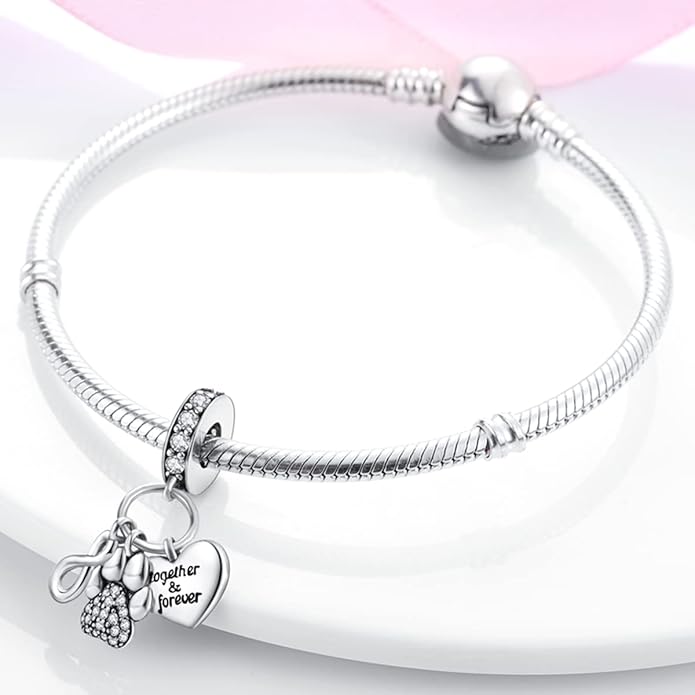 Parmuz 925 Sterling Silver Charm for Bracelet Necklace Dangle Love Mom Ocean travel Butterfly Party Charm Beads Pendants DIY Jewelry for Women