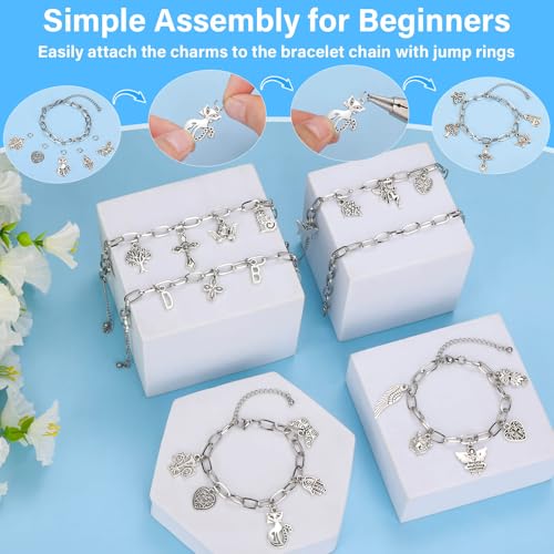Flasoo 384 Pieces Silver Charm Bracelet Making Kit, Including Paperclip Chain Bracelets, Cross Charms, Jump Rings for DIY Bracelet Making