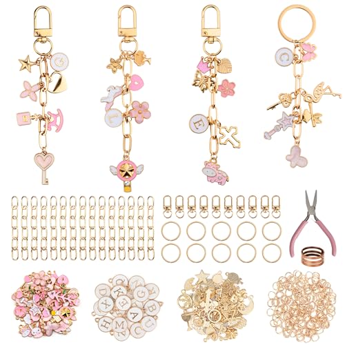 HOMAR 223Pcs DIY Keychain Making Kit Bag Charm Jewelry Chain Making 86 Mixed Color Charms 10 Keychain Clips with Key Ring 15 Extender Chains 100 Jump Ring for DIY Craft Gifts - color: Keychain-2223PCS