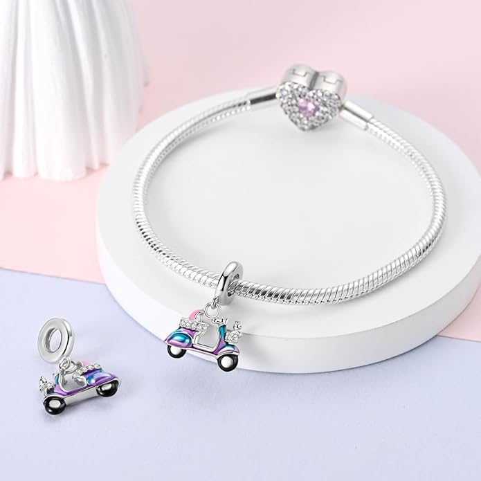 MULA 925 Sterling Silver Charms for Bracelets and Necklaces Airplane Passport Dangle Pendants Beads Butterfly Dragonfly Charms Jewelry Charm for Women
