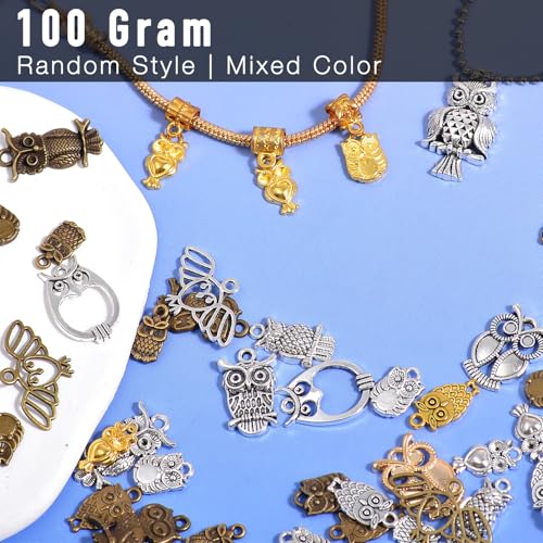 stino 100g Metal Pendant Charms for Jewelry Making, Bulk Silver & Gold Plated Charms for Braclet Necklace Crafts, Animal Plant Flower Pet and so on - color: Owl Silver & Bronze