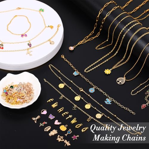 12 Rolls 39.4 Feet Gold Chains for Jewelry Making DIY Necklace Bracelet Chains Bulk Kit 178 Bracelet Charms 350 Jump Rings 80 Lobster Clasps Pliers Accessories Mother Day Graduation DIY Gift for Women
