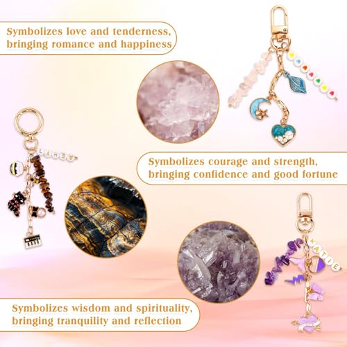 TOHONGADON 674 Pcs Lip Gloss Charms, Keychain Making Kit, Bag Charm Kit with 3 Kinds of Crystal Stones, 322 Charms, 12 Keychain Clips, Key Ring Jewelry Plier, Extender Chain for DIY Crafting - color: 674 Pcs Keychain