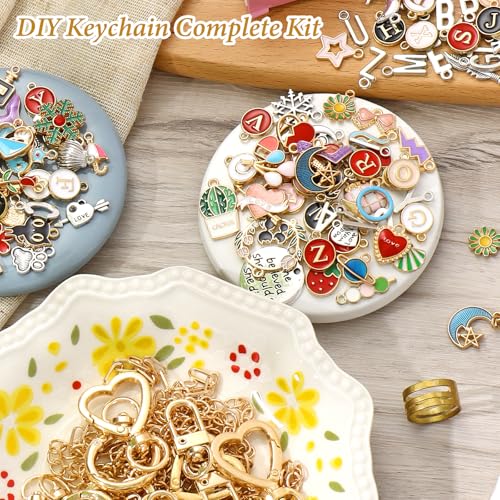 ASTNIC 316PCS Keyring Making Kit & Bag Charm Kit with Charms, Key Ring Hoop, Pliers, DIY Jewellery Making Supplies for Bracelet, Necklace and Jewelry Making, Gifts for Girls, Women, Adults - color: Gold-316PCS
