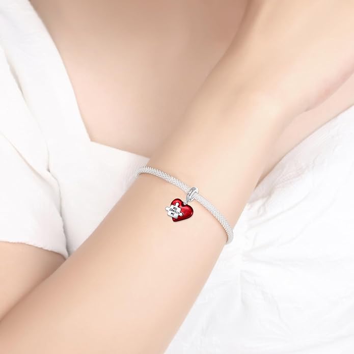 925 Sterling Silver Charms for Bracelets and Necklaces Charms for Women Fashion Jewelry for Women Friend and Mother
