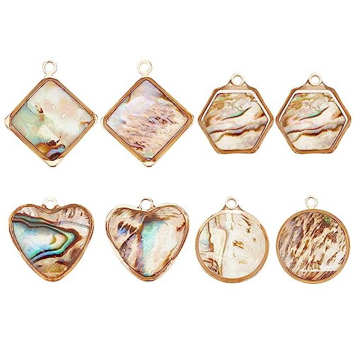 BENECREAT Abalone Shell Charms, Paua Shell Pendant Shell Charms for Jewelry Making - color: 4 Style