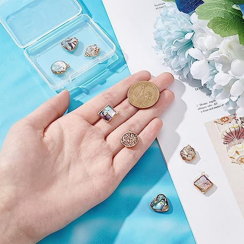 BENECREAT Abalone Shell Charms, Paua Shell Pendant Shell Charms for Jewelry Making - color: 4 Style